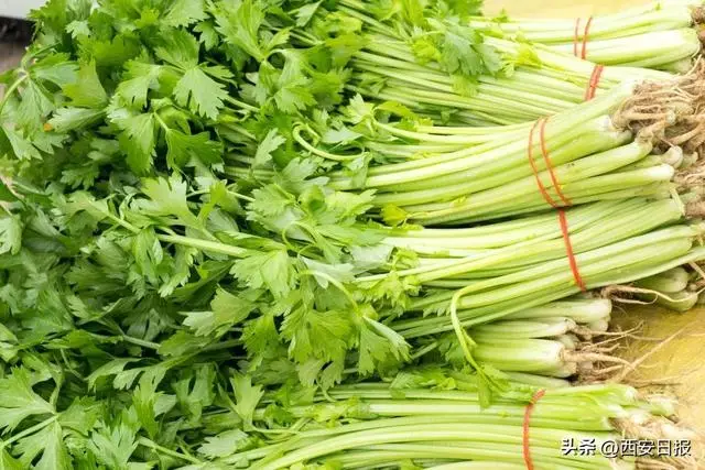 蔬菜的营养功效：三日无肉不可，日菜不可无，富含维生素与膳食纤维  第5张