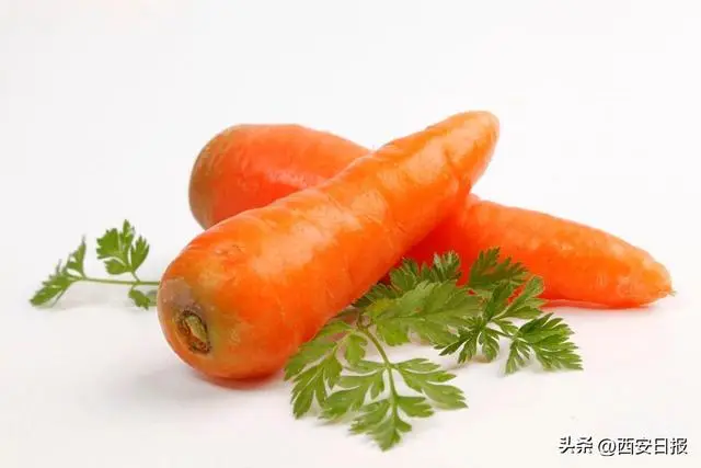 蔬菜的营养功效：三日无肉不可，日菜不可无，富含维生素与膳食纤维  第6张