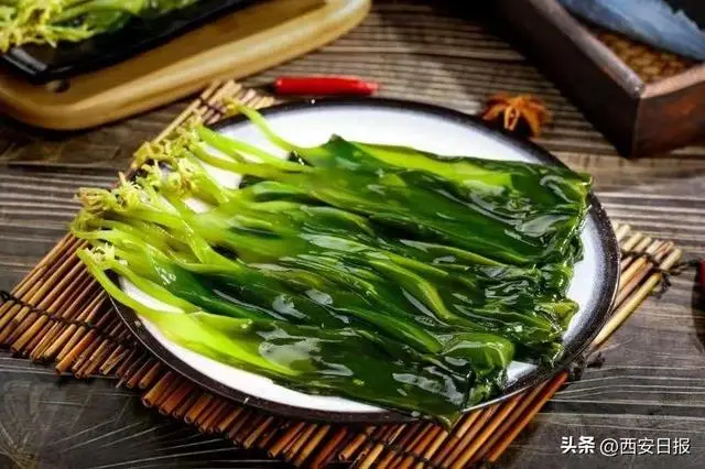 蔬菜的营养功效：三日无肉不可，日菜不可无，富含维生素与膳食纤维  第7张