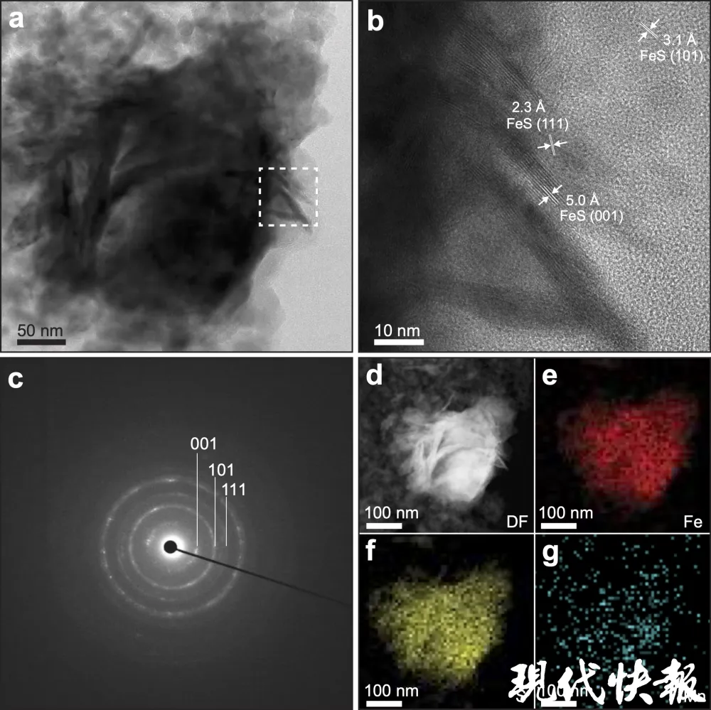 铁硫化物在早期地球陆地热泉中对生命起源的关键作用  第1张