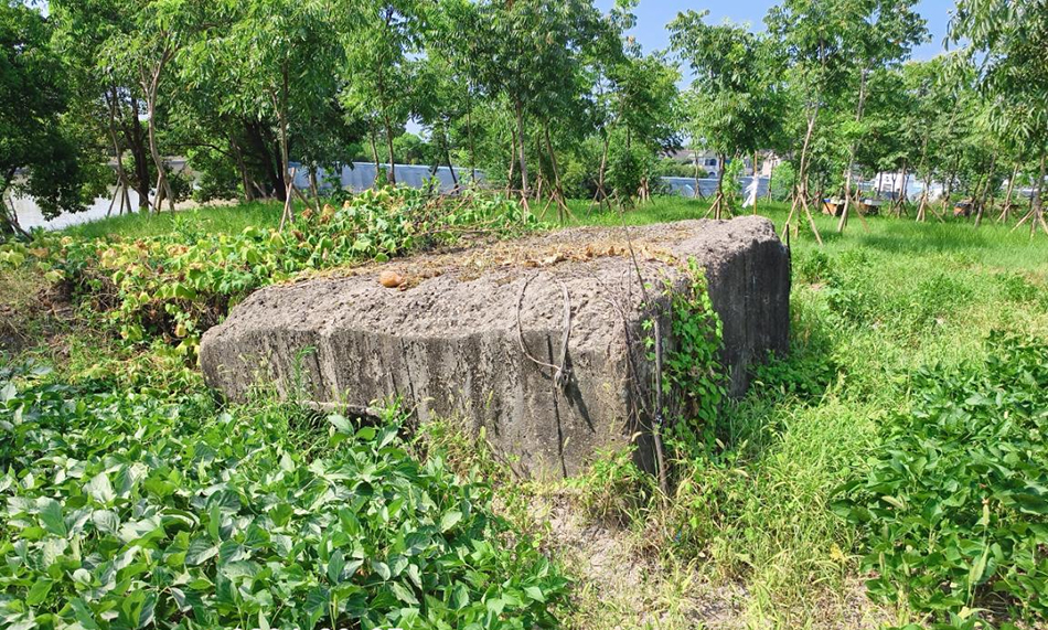 上海市嘉定区文物保护点塌桥碉堡遭破坏，植物蔓延与广告喷绘问题严重  第2张