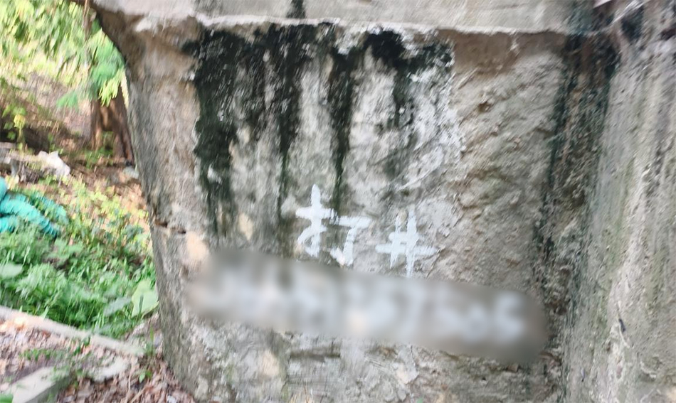 上海市嘉定区文物保护点塌桥碉堡遭破坏，植物蔓延与广告喷绘问题严重  第3张