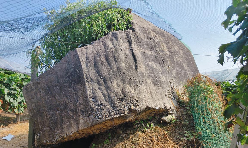 上海市嘉定区文物保护点塌桥碉堡遭破坏，植物蔓延与广告喷绘问题严重  第4张