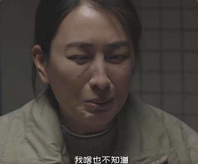 刑侦剧热潮：白夜破晓与我是刑警引领悬疑新风潮  第11张