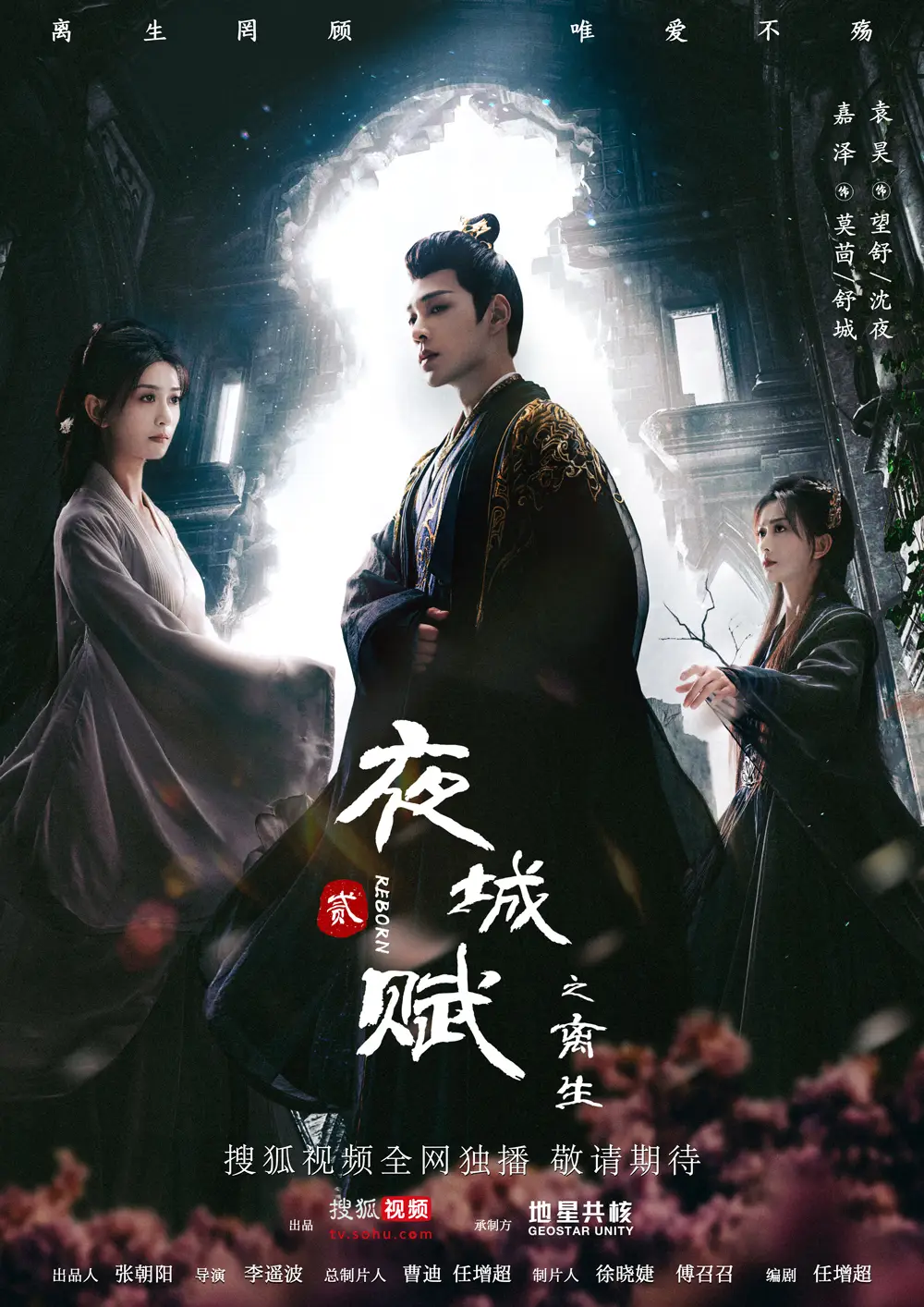 夜城赋之离生搜狐视频秋季档大剧落幕，剧情人设双突破，古偶剧叙事新高度  第2张