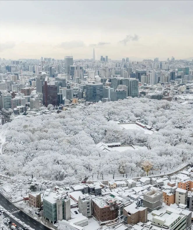 西路寒潮引发韩国特大暴雪，首尔降雪量创历史新高  第3张
