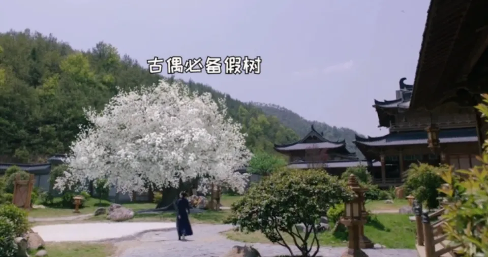 横店九龙潭影视基地取景地拆除引热议，国产古装剧第一狗皮膏药遭观众厌烦  第13张