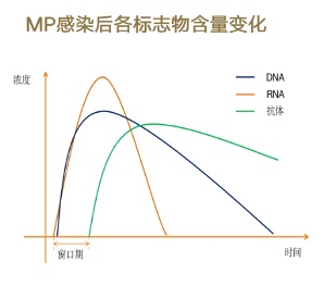 冬季儿童健康挑战：如何应对秋冬毒王腺病毒及其他病毒威胁  第5张