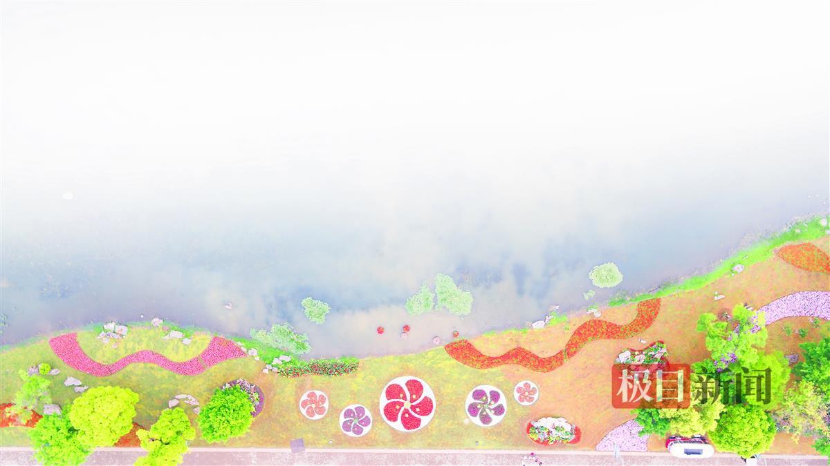 武汉金秋菊展与世界花园大会：新品种与创意布局点亮园林盛事  第2张