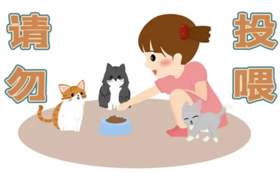 小区安全提示：请勿喂养流浪猫，共建和谐整洁环境  第1张