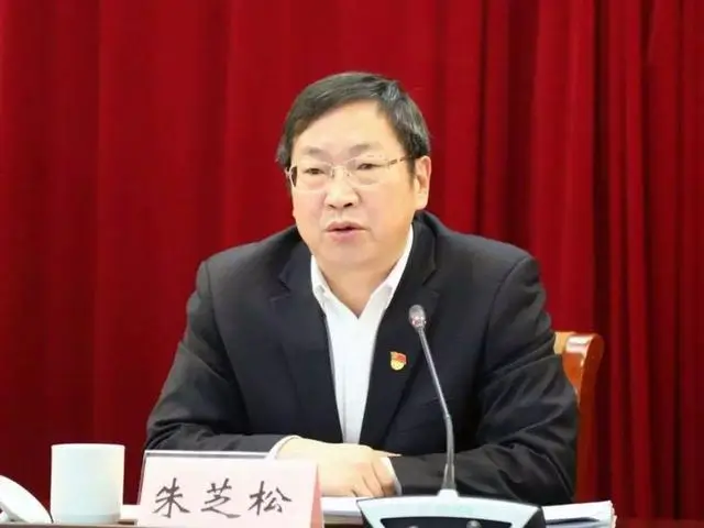 中央纪委再出手打虎：上海市委常委朱芝松涉嫌严重违纪违法被查  第1张