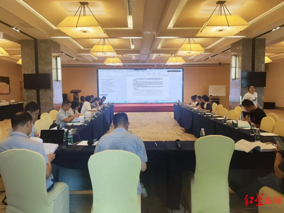 中威新能源成都项目一期正式开工，光伏生产线年产值预计达50亿元  第5张