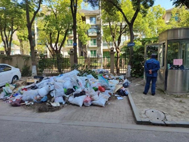 九里亭街道九城湖滨居民区党建引领社区环境优化行动，提升绿化水平获居民好评  第1张
