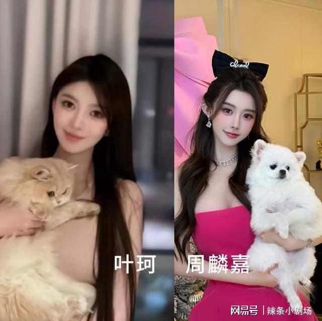 赵丽颖冯绍峰新恋情曝光？黄晓明前车之鉴引热议，周麟嘉否认与冯绍峰关系  第5张