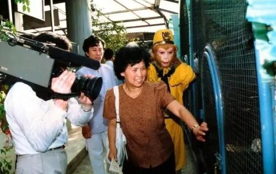 西游记白龙马王伯昭：从明星到街头卤肉摊的传奇人生  第8张