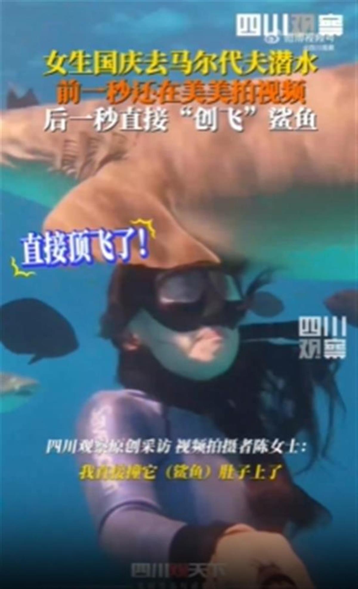 惊险！马尔代夫虎鲨袭击潜水者视频曝光，中国游客奇迹生还  第3张
