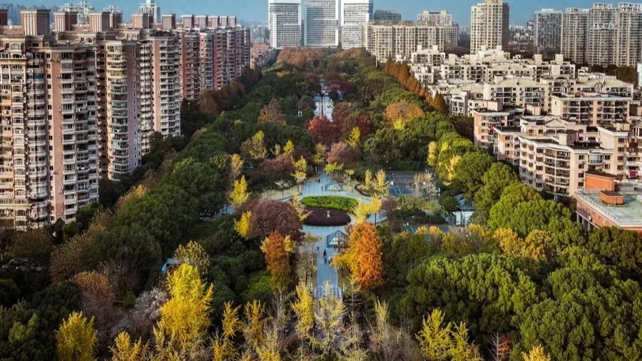 万里街道成立十周年：打造幸福15分钟社区生活圈，探索基层治理新模式  第1张