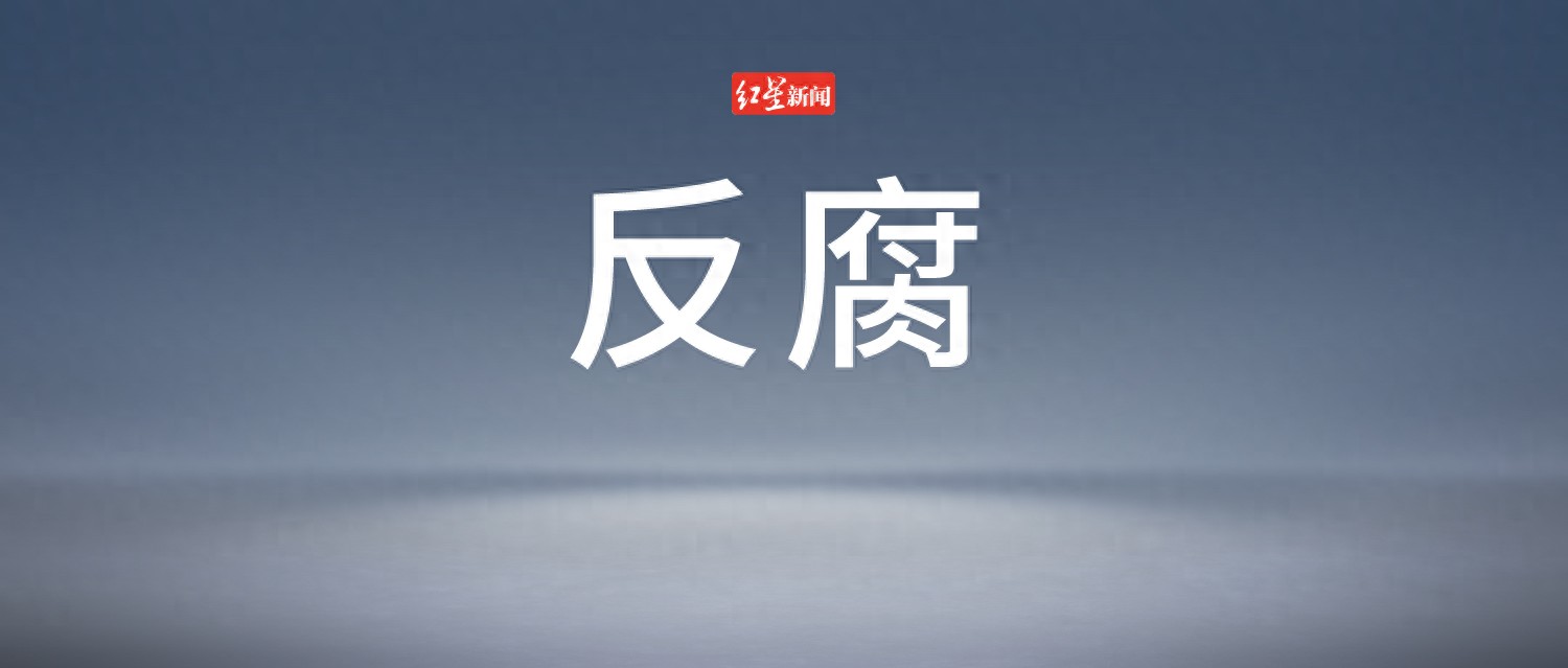 2024年11月29日中央纪委国家监委发布3人被查4人被处分  第1张