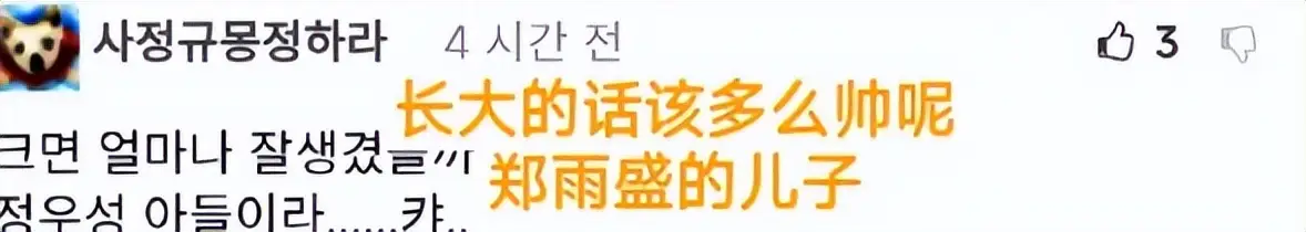 郑雨盛承认私生子，女方模特文佳菲公开真相，51岁影星未婚当爸  第9张
