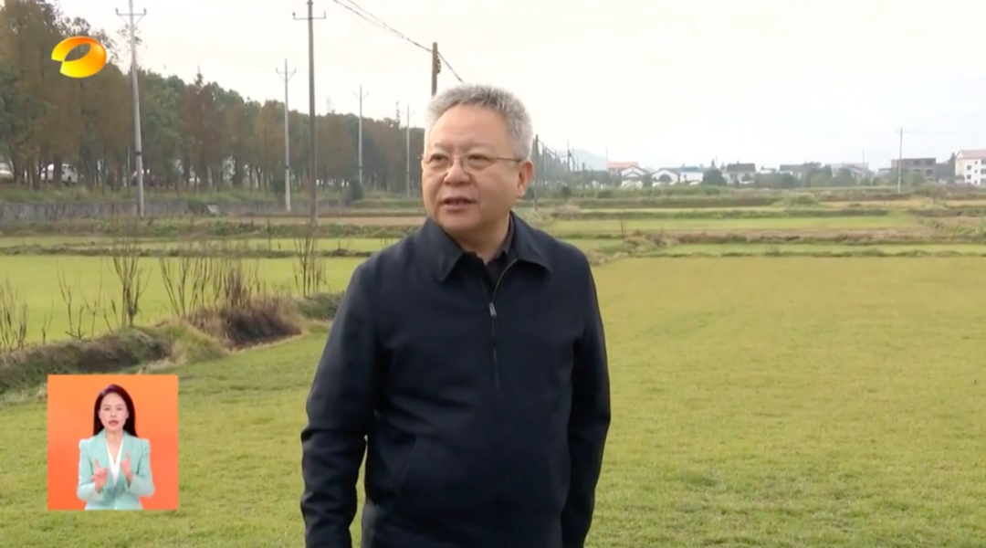 湖南省委书记沈晓明暗访炎陵县霞阳镇天坪村，关注百亩基本农田违规改种景观草皮问题  第1张