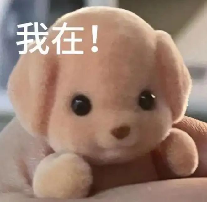 心狠爽文主人公系列：星彩的野心与胆识，每周一、周五更新  第1张
