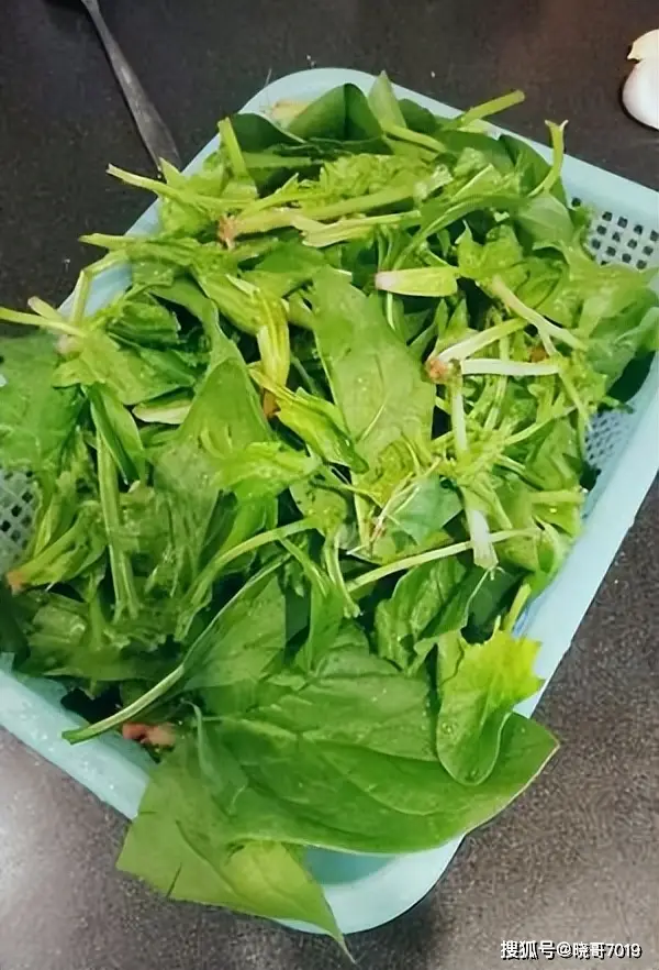蒜蓉炒菠菜：简单美味家常菜，营养丰富，健康餐桌必备  第4张