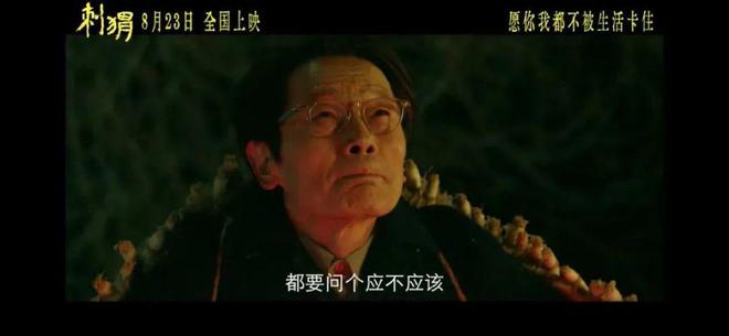 电影刺猬：王战团与周正的非凡故事，顾长卫执导，葛优与王俊凯主演  第3张