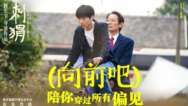 电影刺猬：王战团与周正的非凡故事，顾长卫执导，葛优与王俊凯主演  第5张