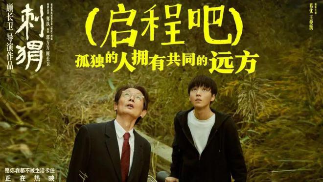 电影刺猬：王战团与周正的非凡故事，顾长卫执导，葛优与王俊凯主演  第7张