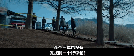 鱿鱼游戏2定档12月26日，孔刘主演新剧一箱情缘尺度生猛引期待  第17张