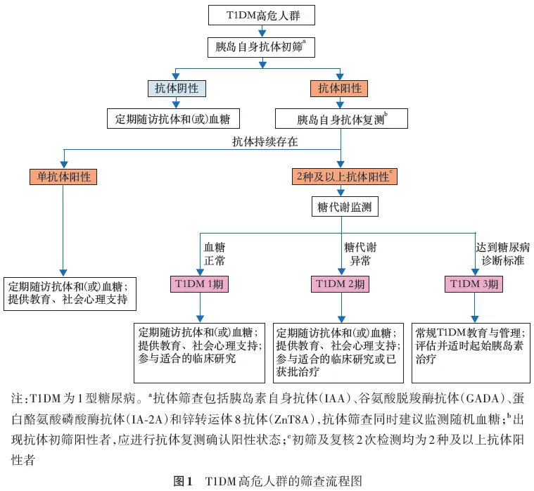 1型糖尿病高危人群筛查与管理专家共识2024版：遗传风险评估与早期干预指南  第1张