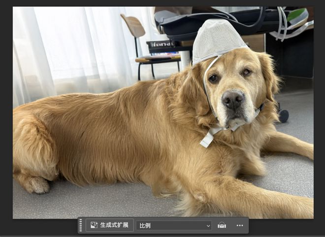 Adobe Max Sneaks：探索未来设计魔法的实验性项目  第15张