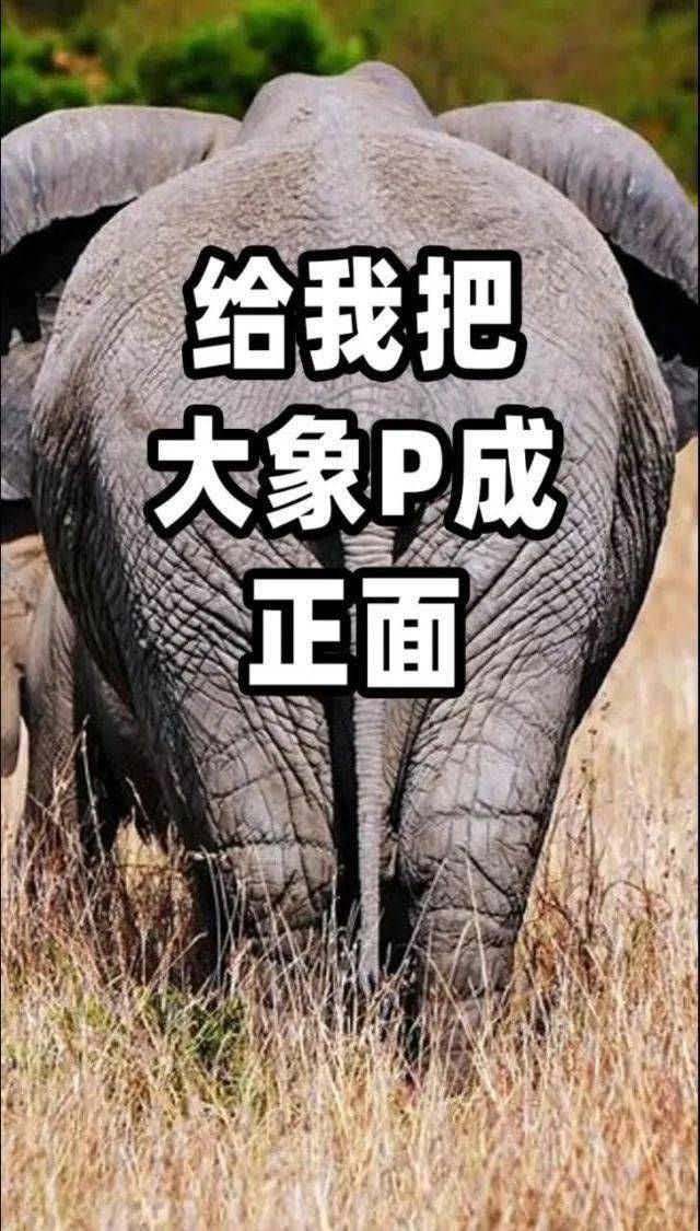 Adobe Max Sneaks：探索未来设计魔法的实验性项目  第6张
