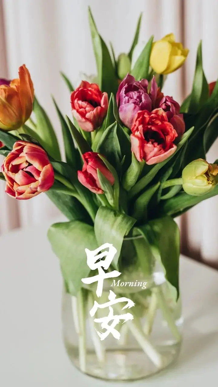 早安！努力提升自我，拓展视野，遇见优秀，享受多维度生活的美好  第1张
