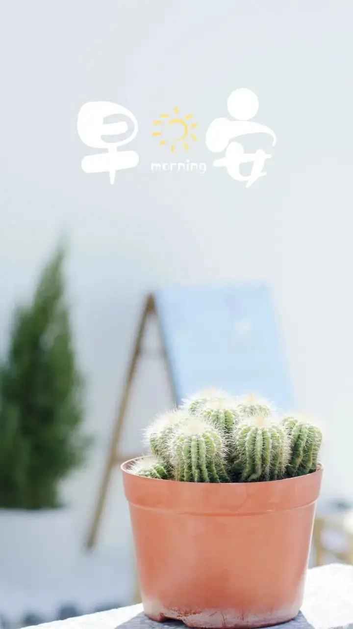 早安！努力提升自我，拓展视野，遇见优秀，享受多维度生活的美好  第4张