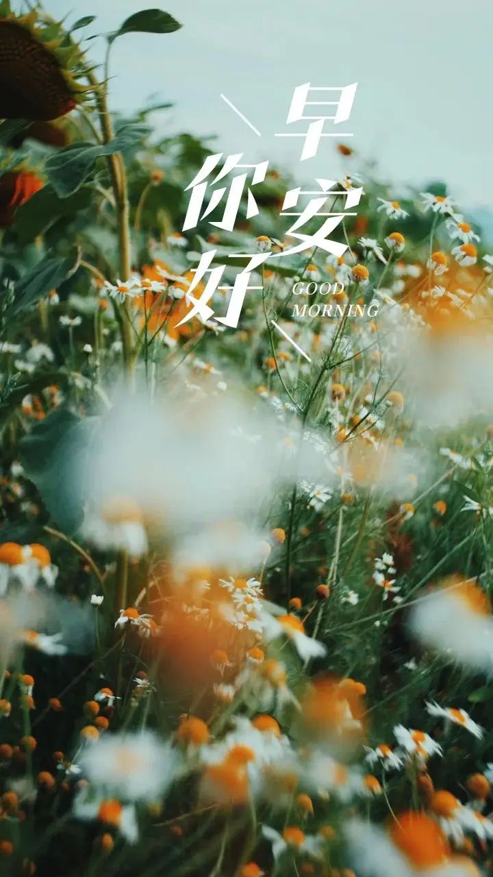 早安！努力提升自我，拓展视野，遇见优秀，享受多维度生活的美好  第7张