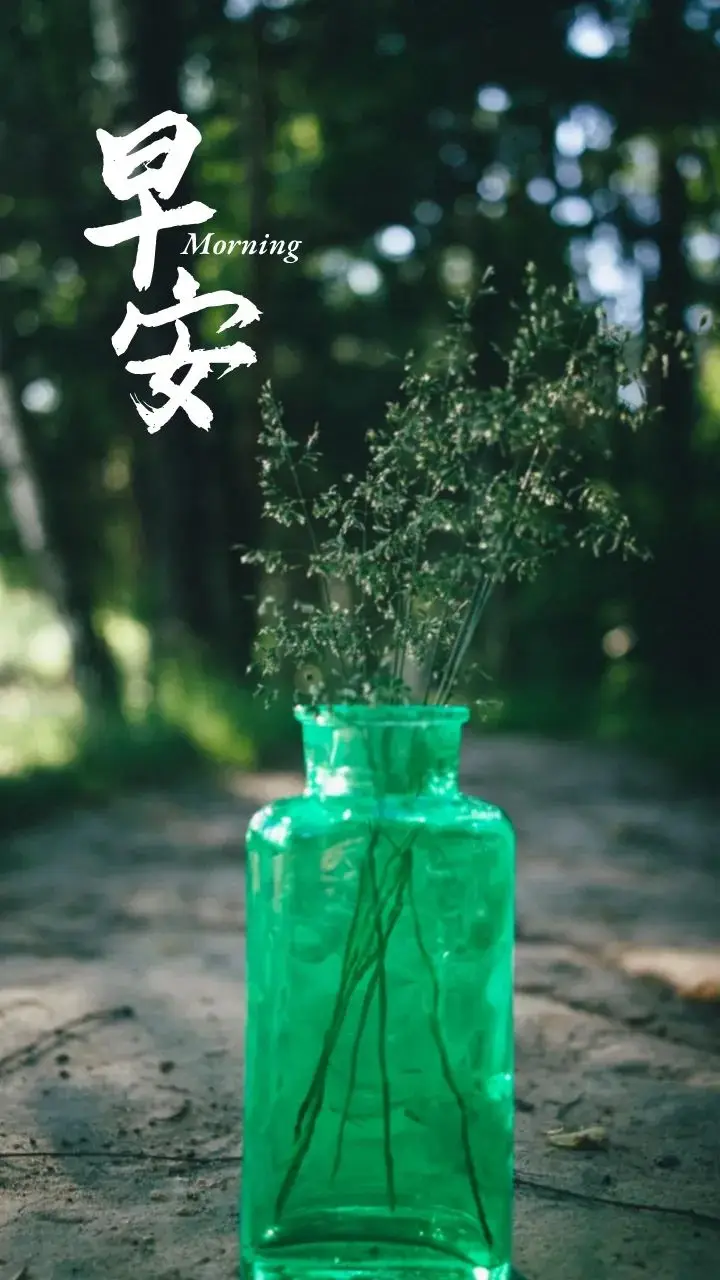 早安！努力提升自我，拓展视野，遇见优秀，享受多维度生活的美好  第8张