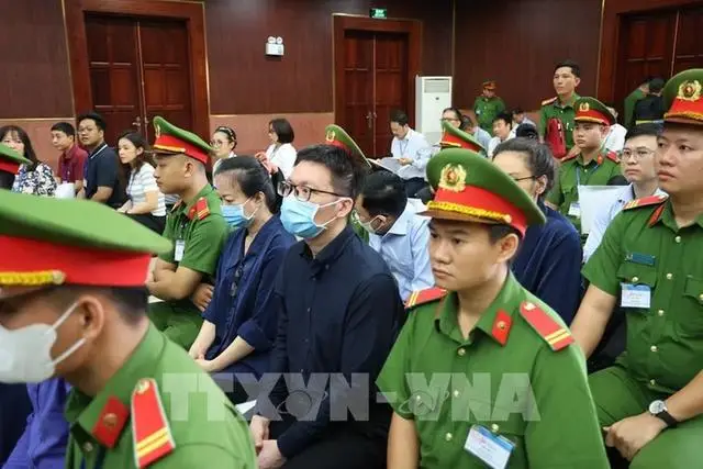 越南女首富张美兰面临死刑，若返还110亿美元可避免注射死刑  第1张