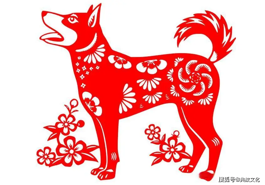 属狗人如何自我检测运势是否旺盛？了解基本运势特征与生活细节  第1张