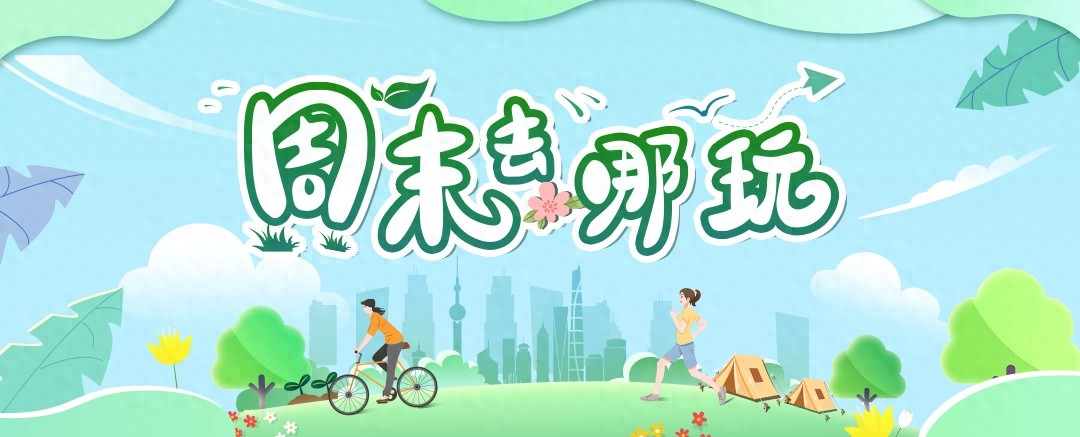 长三角地区秋日银杏美景推荐：走进金色童话世界，感受大自然的诗意馈赠  第1张