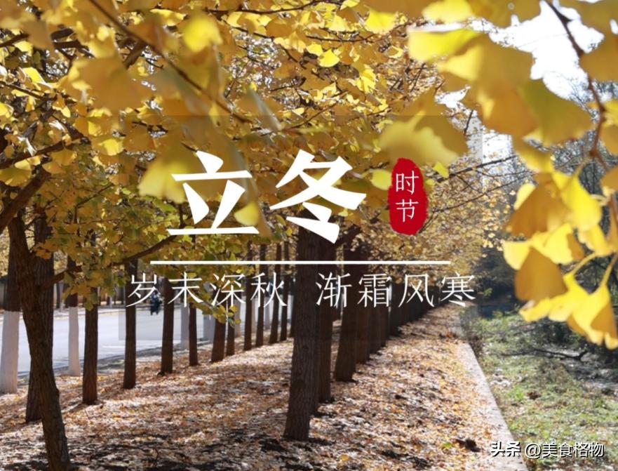 立冬节气：冬季起始与健康生活指南，四事不做不贪凉  第2张