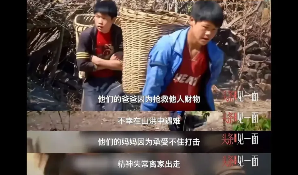 变形计主人公10年后回访：版权收入百万，真香哲学家王境泽的躺赚生活  第14张