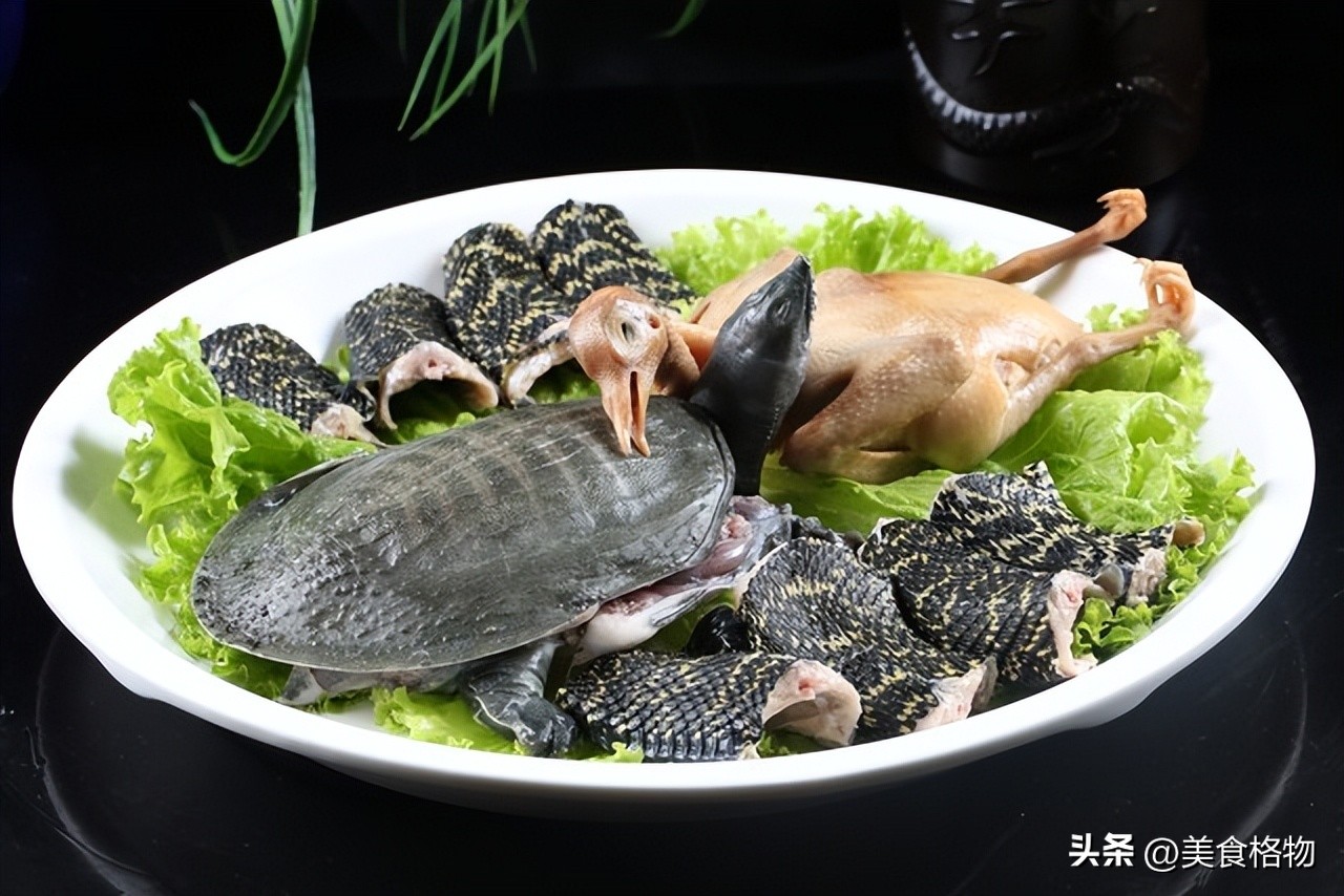 秋冬季节补肾提阳，多吃海参等补肾猛将，助你精神焕发  第10张