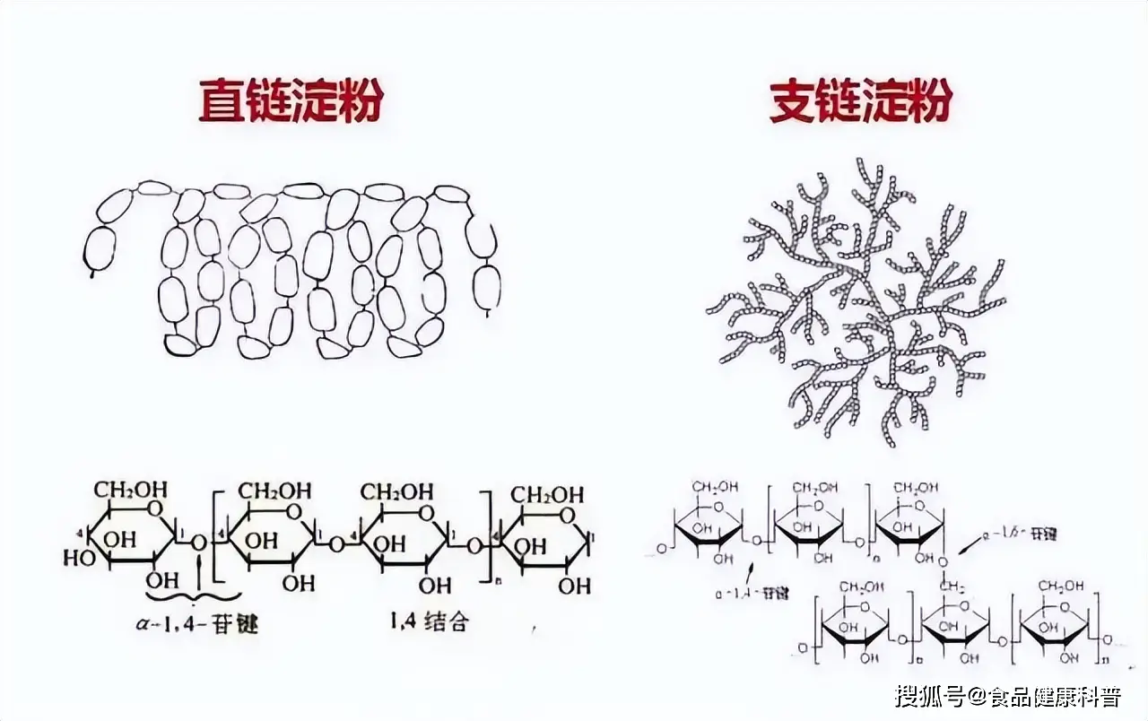 南方米粉米线：细腻口感背后的饮食文化与减肥秘密  第3张