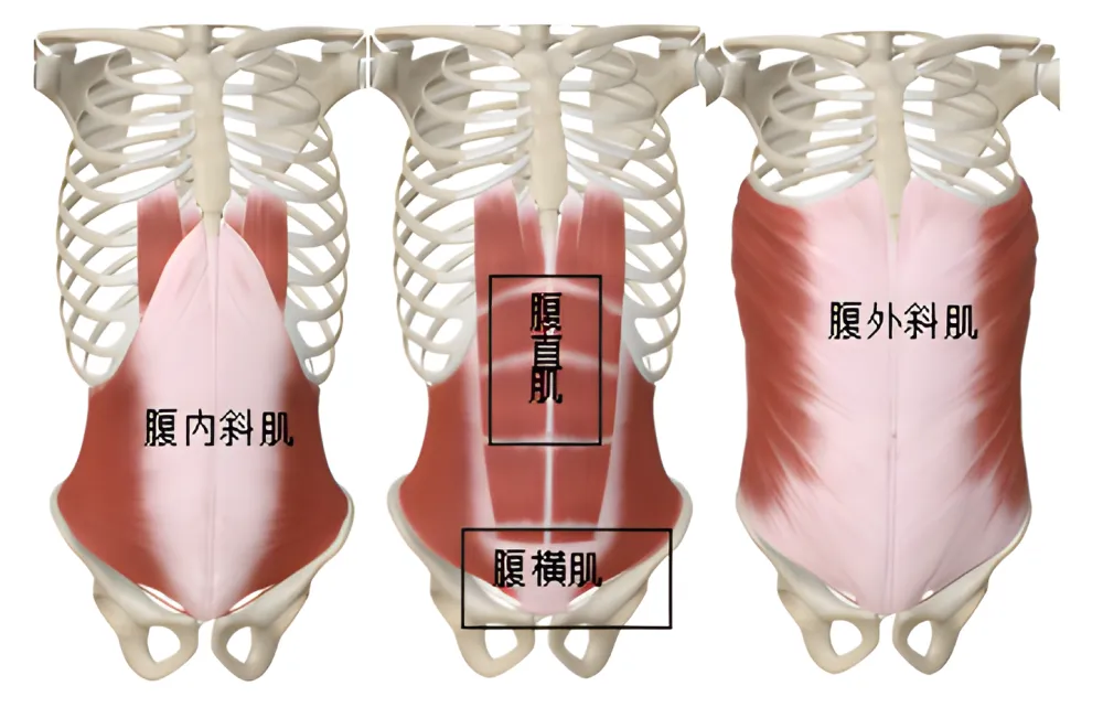 27岁钟先生腰痛困扰两年，龙脊康治疗后症状明显缓解  第3张