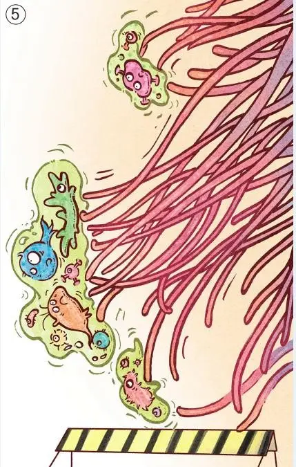 探索神奇的纤毛：结构、功能及其在生物中的重要性  第1张