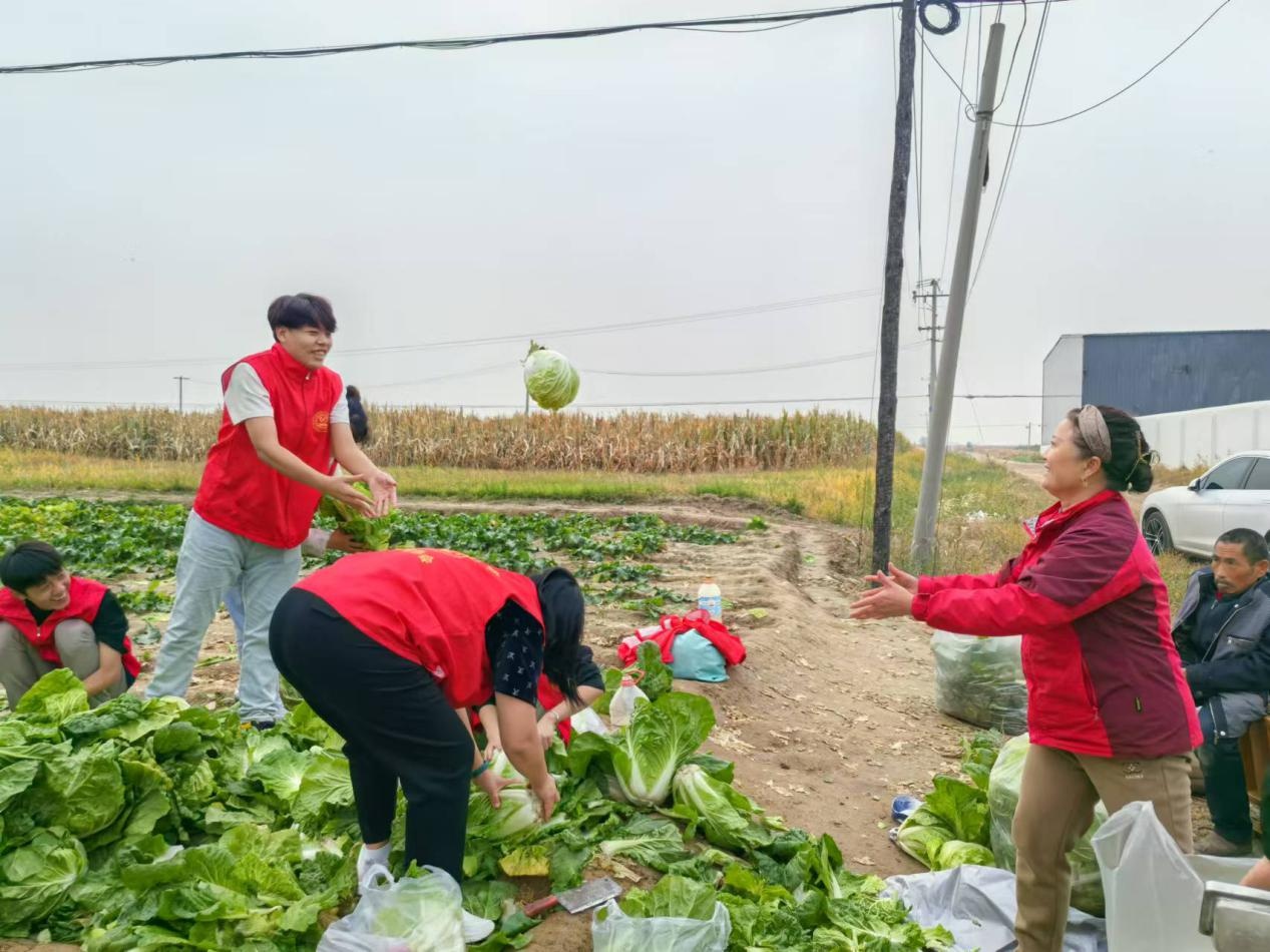 河北沧州志愿者帮助74岁老人收获菜地，展现人间温暖
