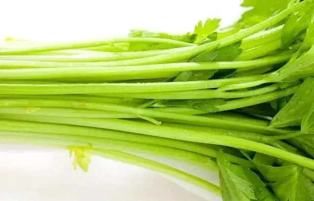 高效排毒食物：柠檬、菠菜和鳄梨助你保持身体清洁健康  第3张