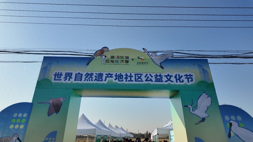 崇明东滩迎来最佳观鸟季，世界自然遗产地社区公益文化节精彩纷呈